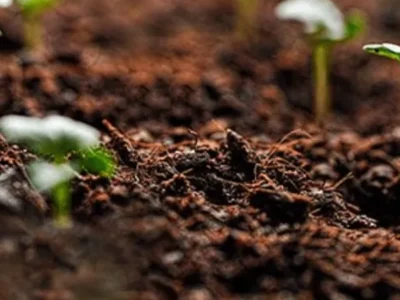 Certificate Program: Introduction to Soil Management