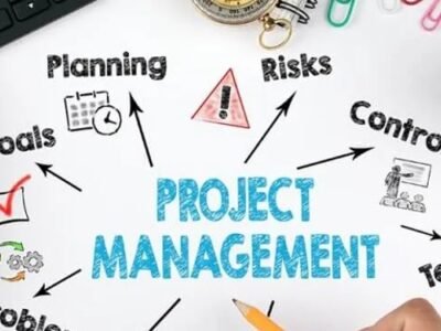 Professional Certificate in Project Management